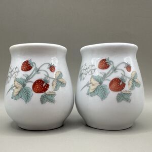 Vintage Strawberry Porcelain Salt and Pepper Shakers Set Berries Farmhouse